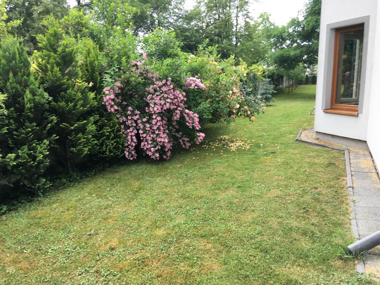 dom wolnostojący Trzebownisko. Zdjęcie 6