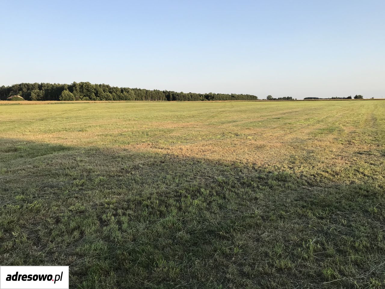 Działka budowlana Ładzyń. Zdjęcie 10