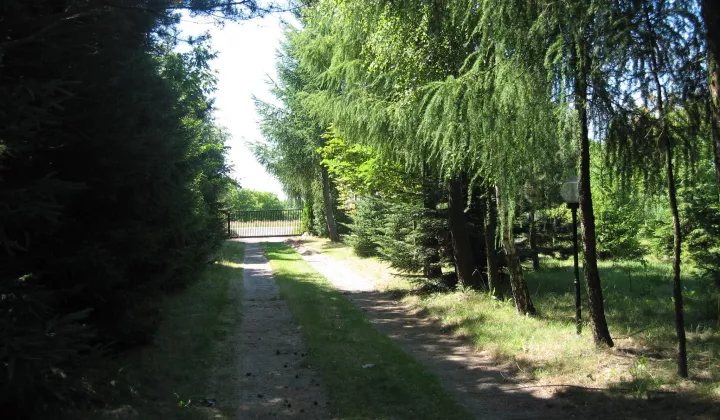 Działka budowlana Sękocin-Las, ul. Leśnych Skrzatów