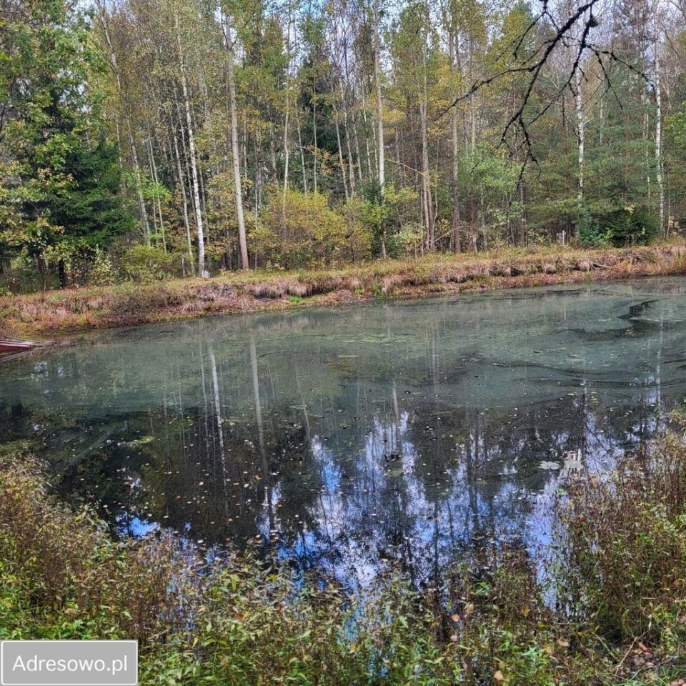 dom wolnostojący, 4 pokoje Pogobie Średnie. Zdjęcie 14