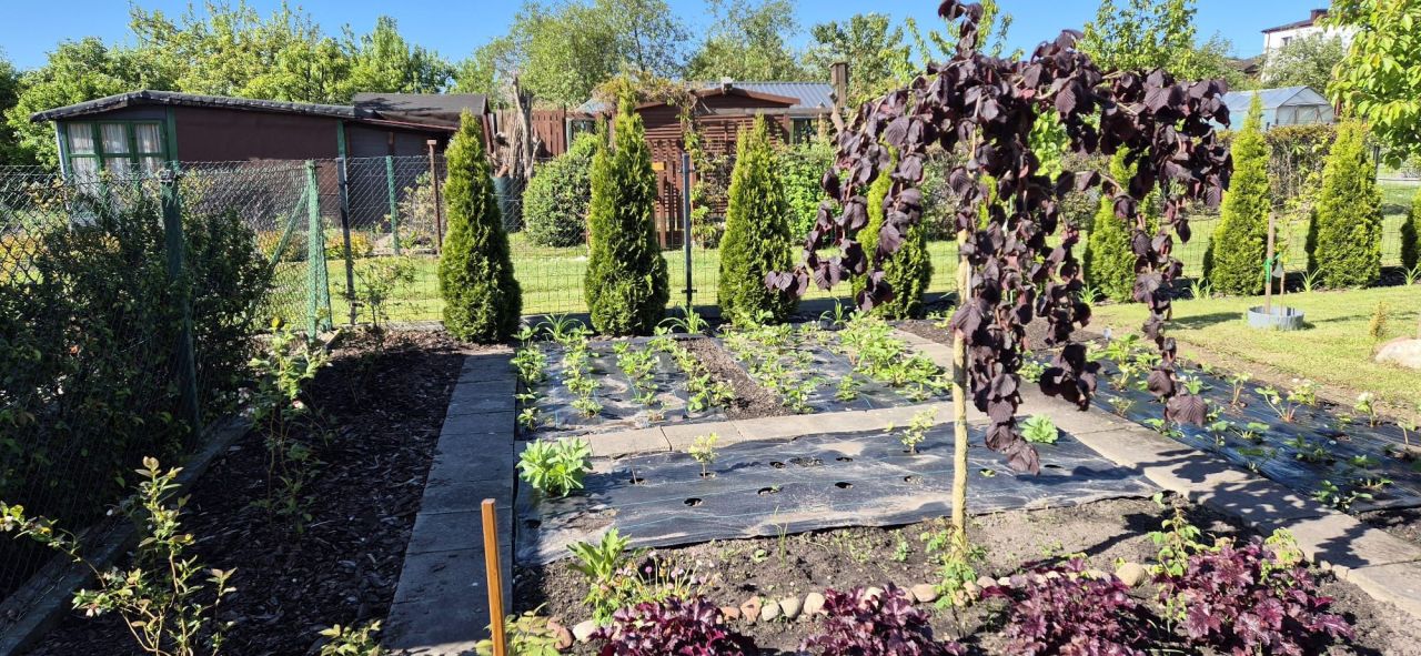 Działka rod Szczytno. Zdjęcie 4