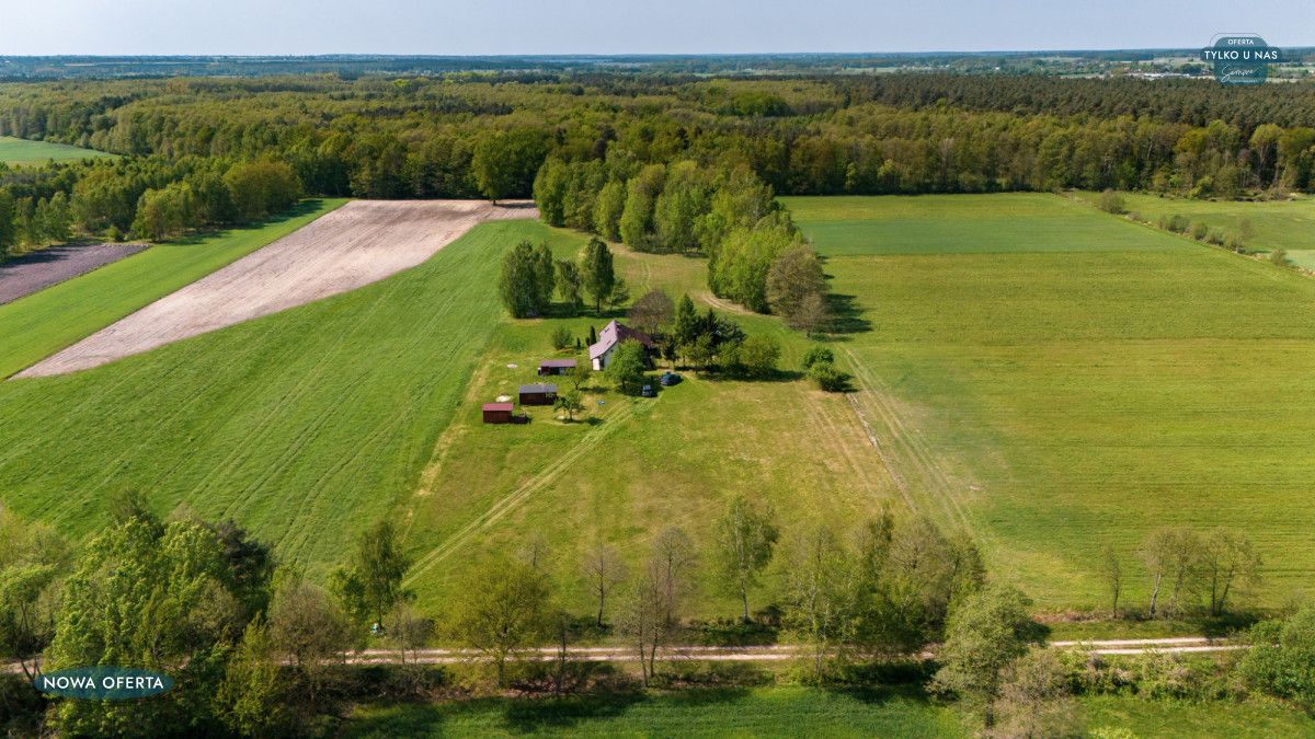 Działka rolna Osowiec. Zdjęcie 5
