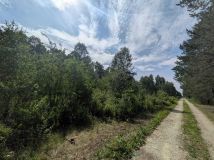 Działka budowlana Lipiny. Zdjęcie 3