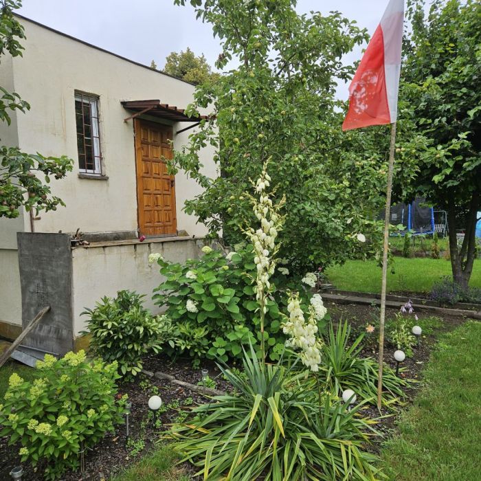 Działka rod Gdańsk Olszynka. Zdjęcie 14