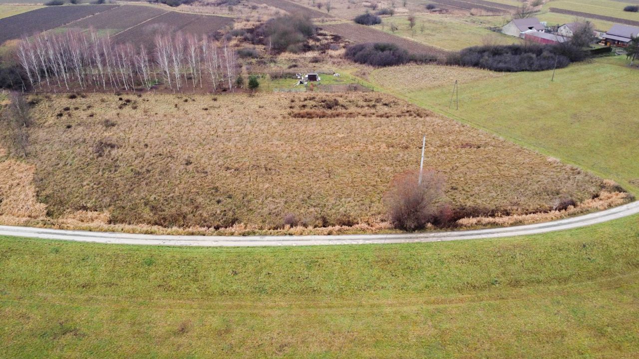 Działka rolna Bogucice. Zdjęcie 1