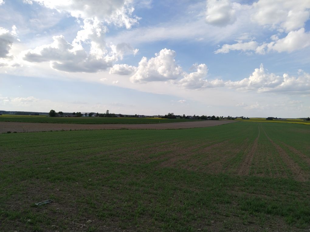 Działka rolna Janowice. Zdjęcie 3