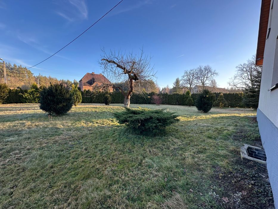 dom wolnostojący, 5 pokoi Wilkowisko. Zdjęcie 2