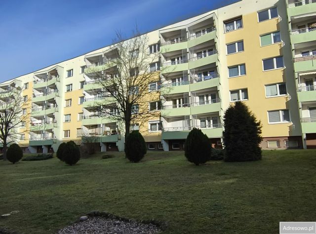 Mieszkanie 3-pokojowe Poznań Nowe Miasto. Zdjęcie 1