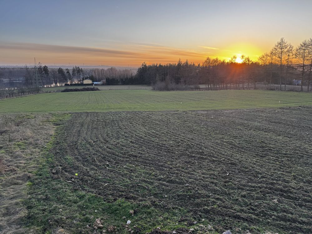 Działka rolno-budowlana Łapino. Zdjęcie 5