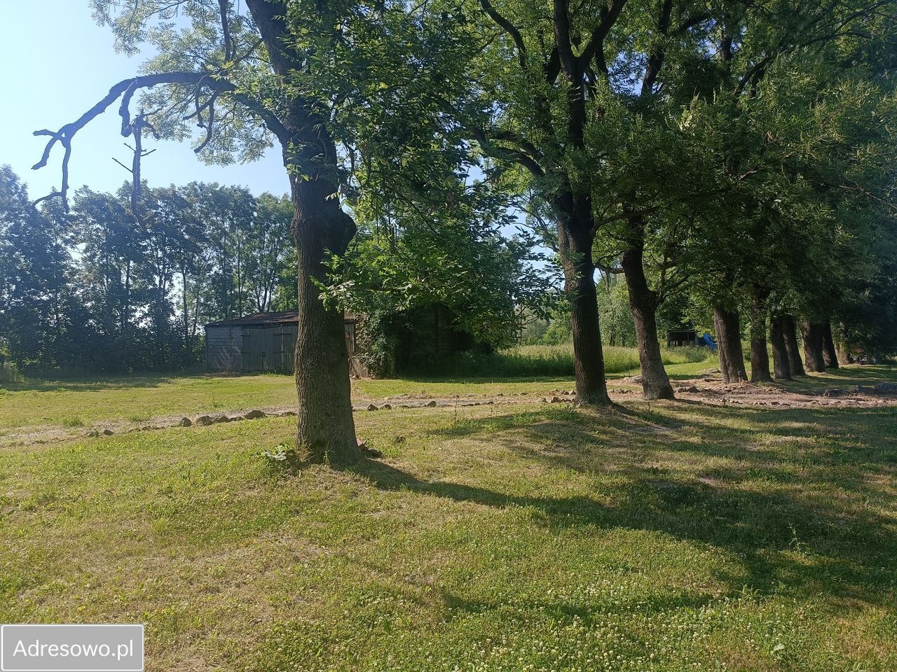 dom wolnostojący, 5 pokoi Niedrzew Drugi. Zdjęcie 3