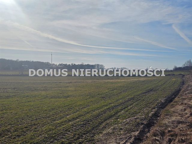 Działka Polik. Zdjęcie 4