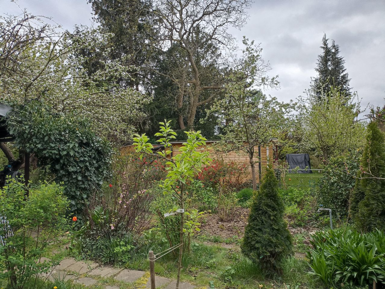 Działka rod Warszawa Mokotów, al. Niepodległości. Zdjęcie 18