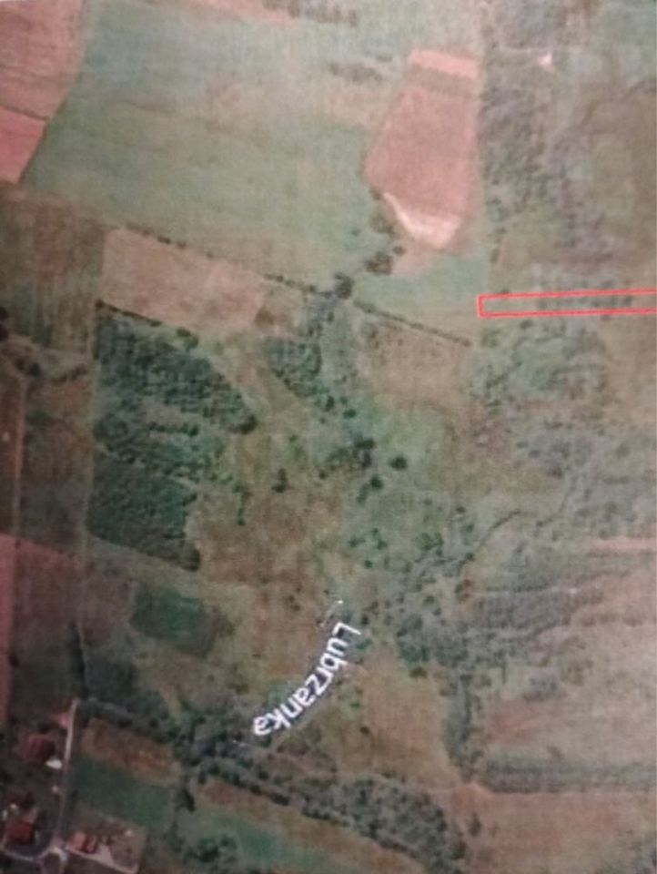 Działka rolna Masłów Drugi. Zdjęcie 4