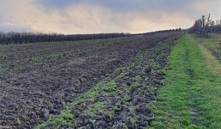 Działka rolna Polanów