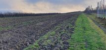 Działka rolna Samborzec, Polanów. Zdjęcie 1