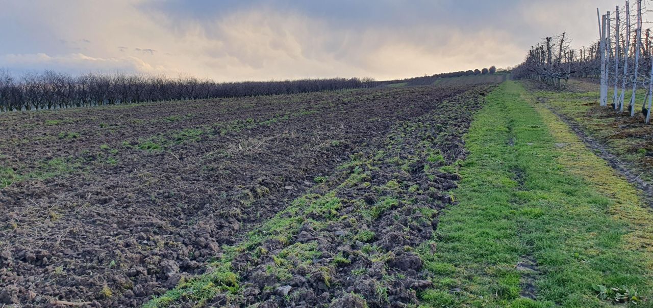 Działka rolna Samborzec, Polanów. Zdjęcie 2