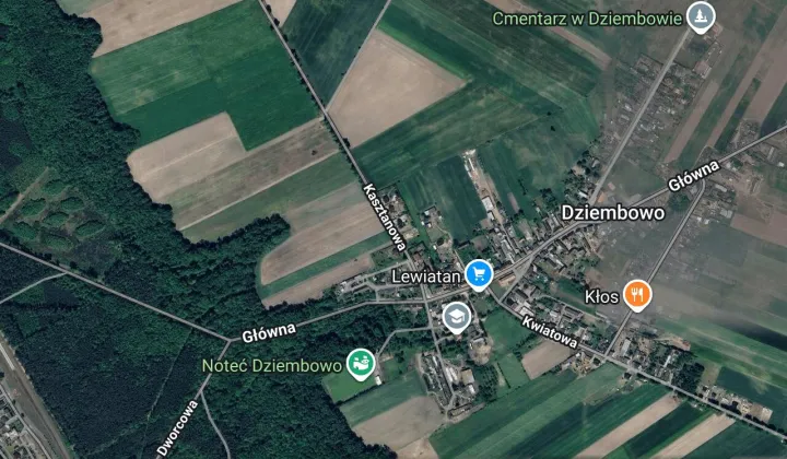 Działka siedliskowa Dziembowo, ul. Kasztanowa