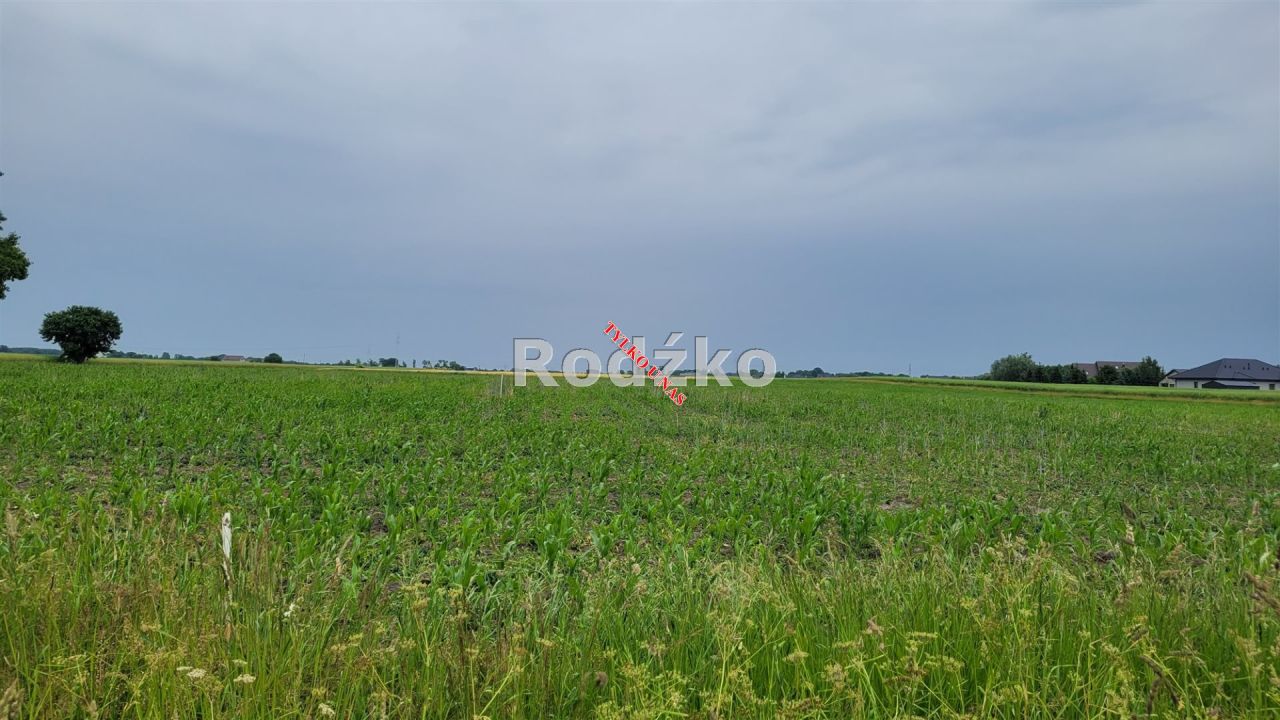 Działka budowlana Aleksandrowo, ul. Turystyczna