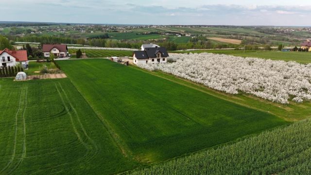 Działka rolno-budowlana Pawłów Działki. Zdjęcie 1