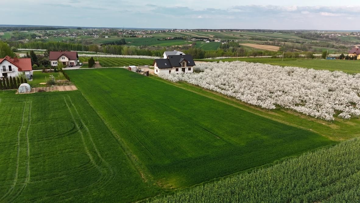 Działka rolno-budowlana Pawłów Działki