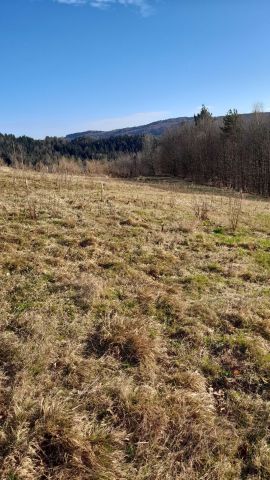 Działka budowlana Bartkowa-Posadowa. Zdjęcie 1