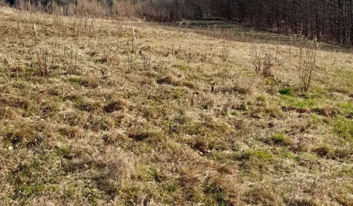 Działka budowlana Bartkowa-Posadowa