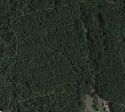 Działka leśna Hucisko Kwaśniowskie. Zdjęcie 3