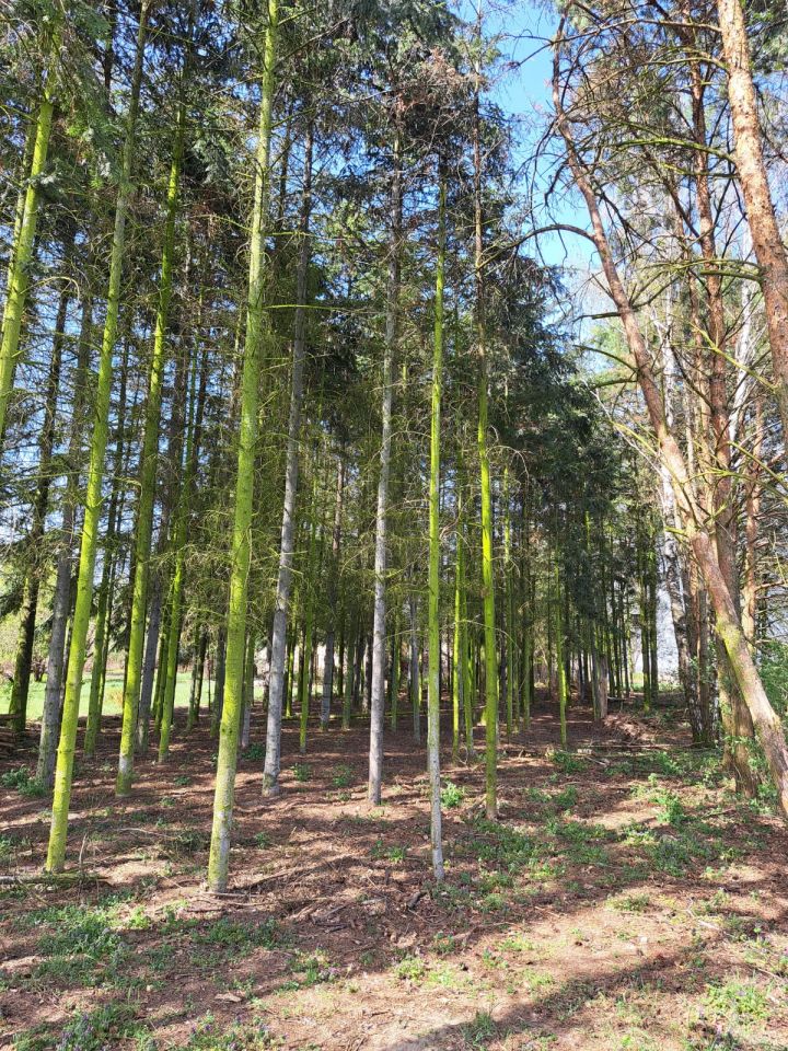 Działka budowlana Orątki Górne. Zdjęcie 3