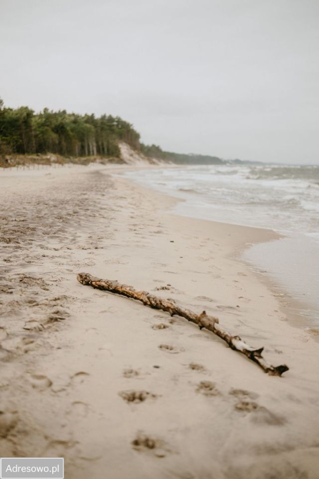 Działka rolno-budowlana Wieniotowo. Zdjęcie 5