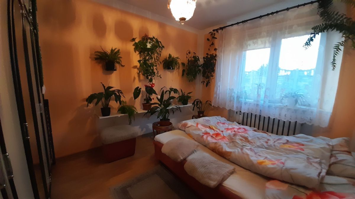 Mieszkanie 3-pokojowe Niemstów. Zdjęcie 11