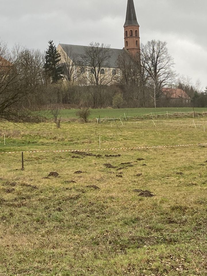 Działka budowlana Grodowiec. Zdjęcie 4