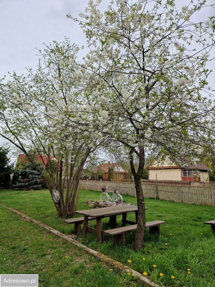 dom wolnostojący, 3 pokoje Szczyty-Nowodwory. Zdjęcie 12