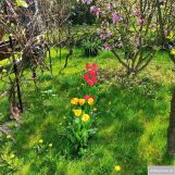 Działka rod Zabierzów. Zdjęcie 2