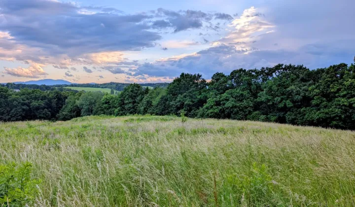 Działka budowlana Cieszów, ul. Wilcza