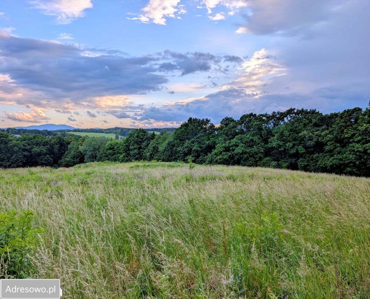 Działka budowlana Cieszów, ul. Wilcza. Zdjęcie 1
