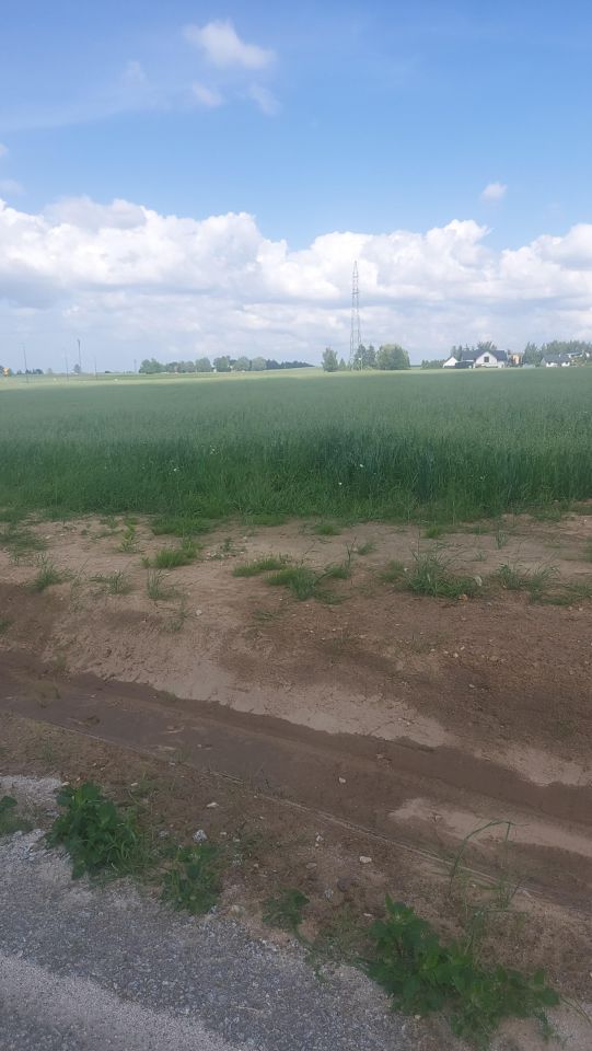 Działka inwestycyjna Koniecwałd. Zdjęcie 2