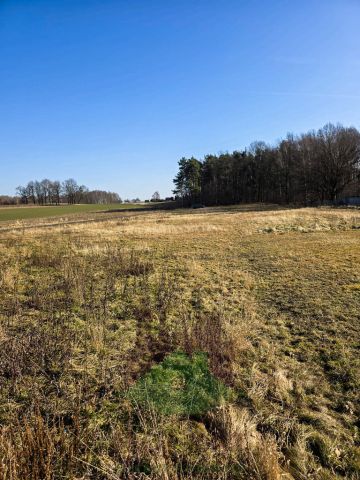 Działka budowlana Bełk, ul. Palowicka. Zdjęcie 3