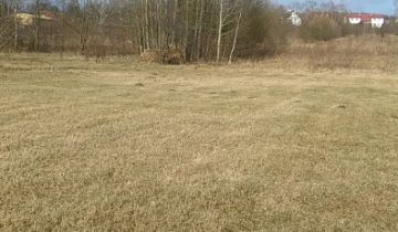 Działka inwestycyjna Ciechanów Szczurzyn, ul. Pęchcińska 1
