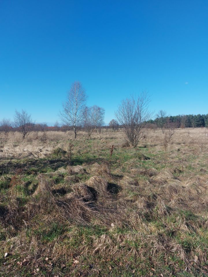 Działka rolno-budowlana Mielno. Zdjęcie 2