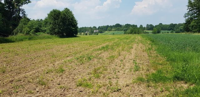 Działka rolna Gołkowice, ul. Na Górze. Zdjęcie 1