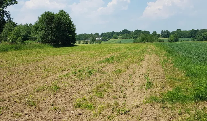 Działka rolna Gołkowice, ul. Na Górze