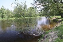 Działka Dobry Las. Zdjęcie 3