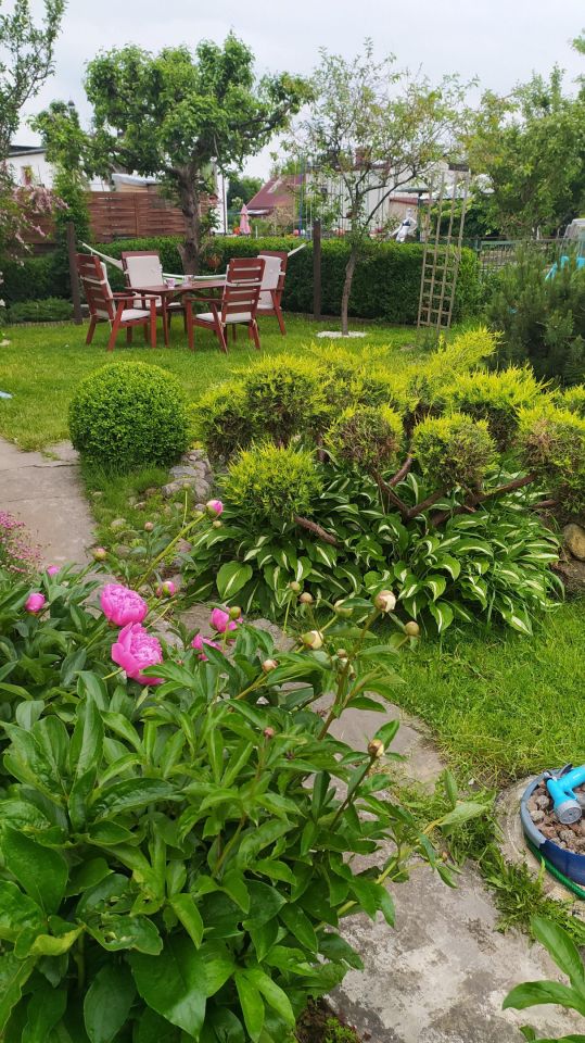 Działka rod Gdańsk Kokoszki, ul. Nowatorów. Zdjęcie 15