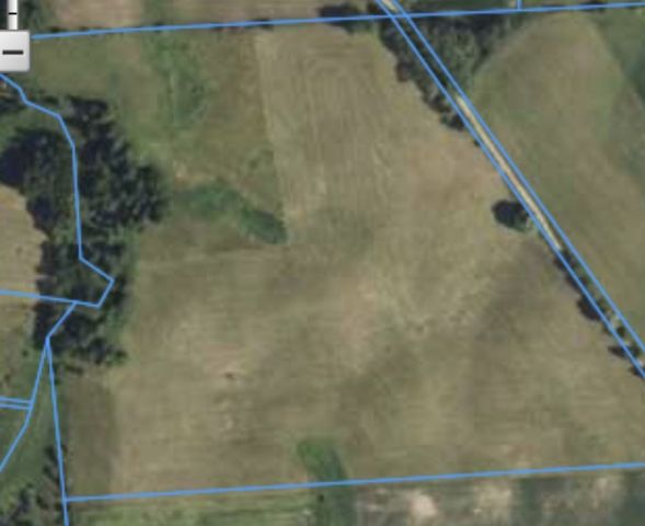 Działka rolna Sterławki Wielkie. Zdjęcie 1