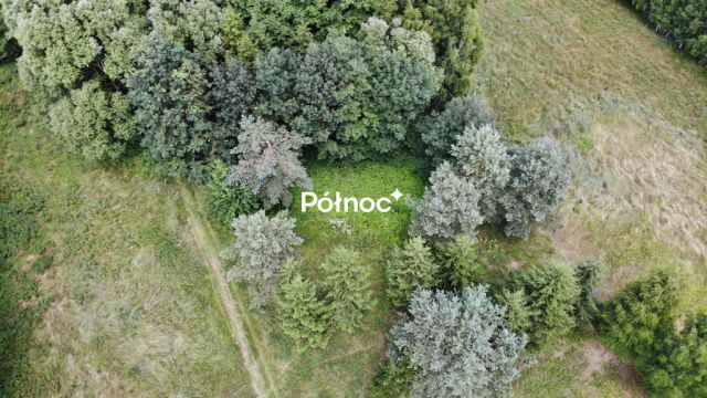 Działka rolna Orzechówka. Zdjęcie 10