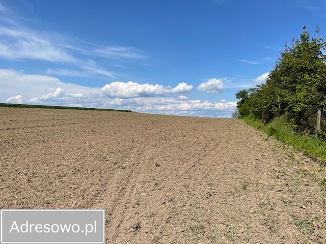 Działka rolno-budowlana Dobroszów. Zdjęcie 5