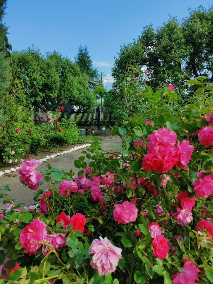 dom wolnostojący, 6 pokoi Gościeszowice. Zdjęcie 28