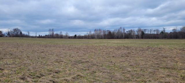 Działka budowlana Kopana, ul. Pawłowicka. Zdjęcie 1
