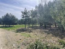 Działka budowlana Altanka. Zdjęcie 3