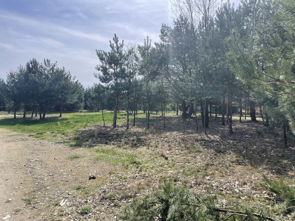 Działka budowlana Altanka. Zdjęcie 4